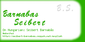 barnabas seibert business card